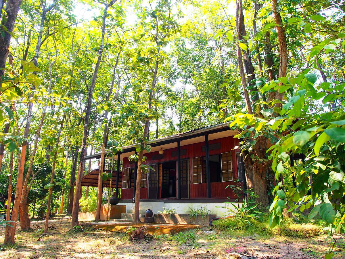 Golden Teak Homestay Mae Rim Zewnętrze zdjęcie