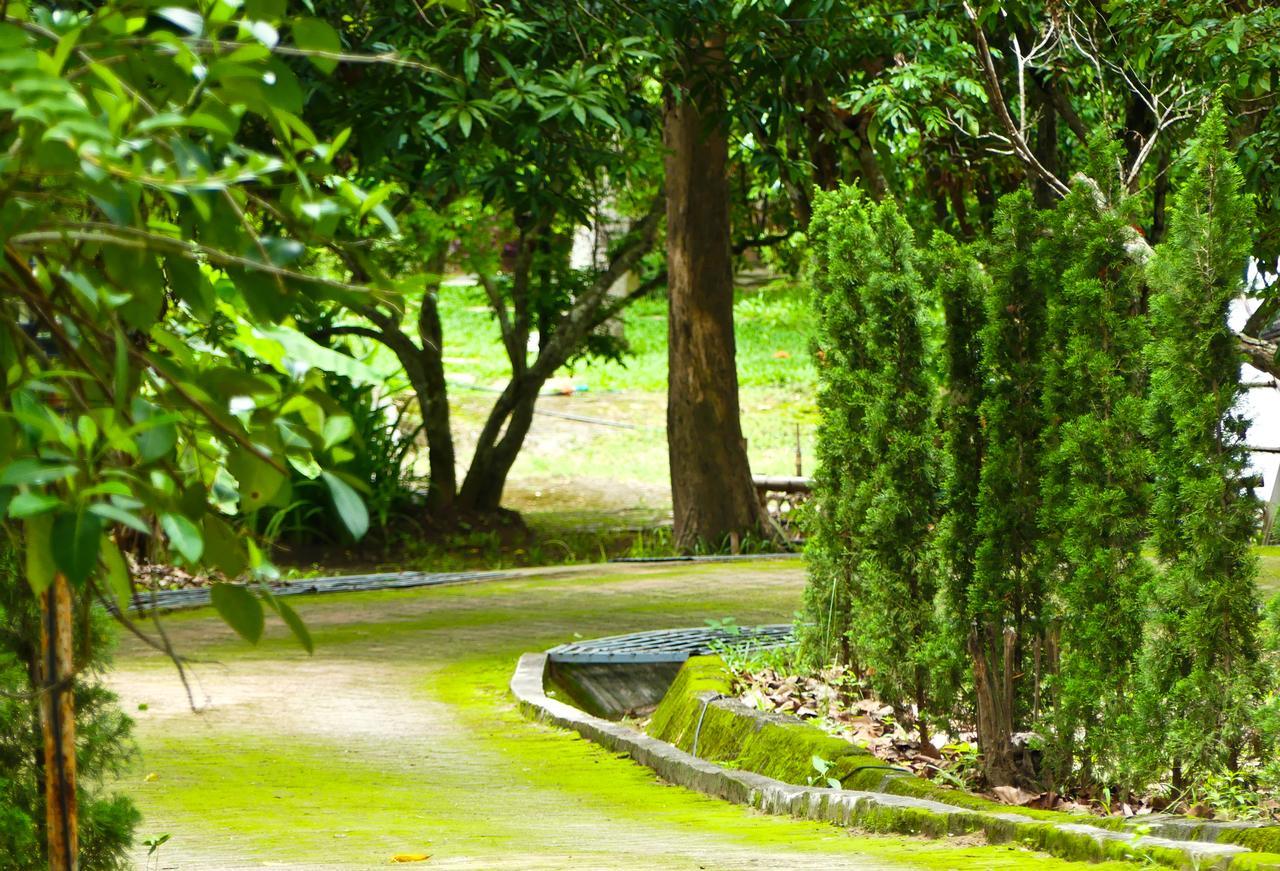 Golden Teak Homestay Mae Rim Zewnętrze zdjęcie